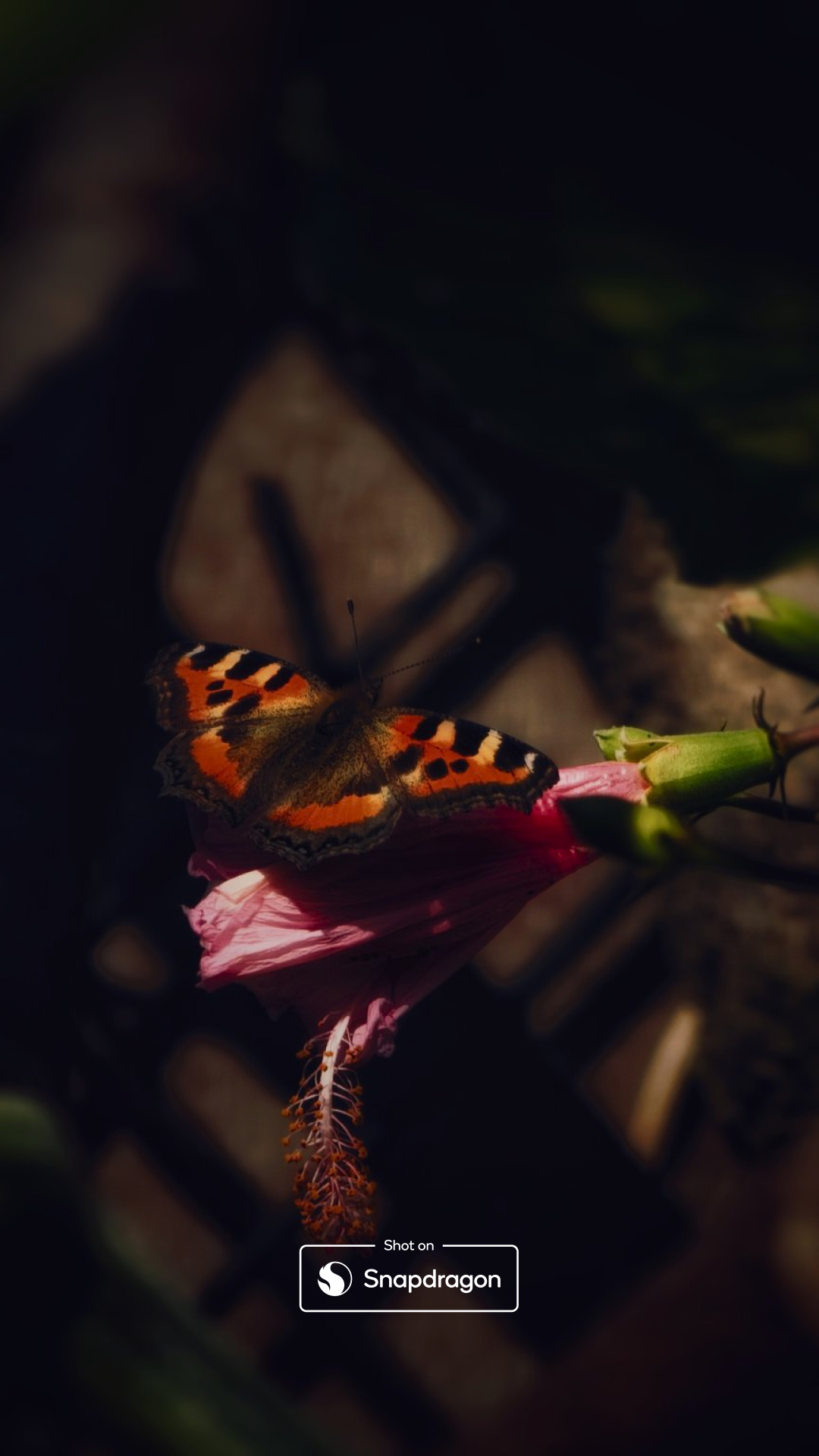 qualcomm snapdragon hd wallpaper